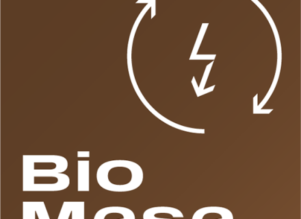 Biomasa