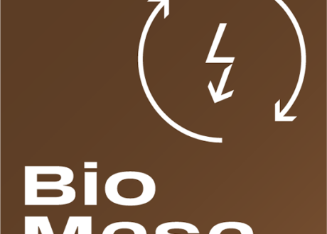 Biomasa